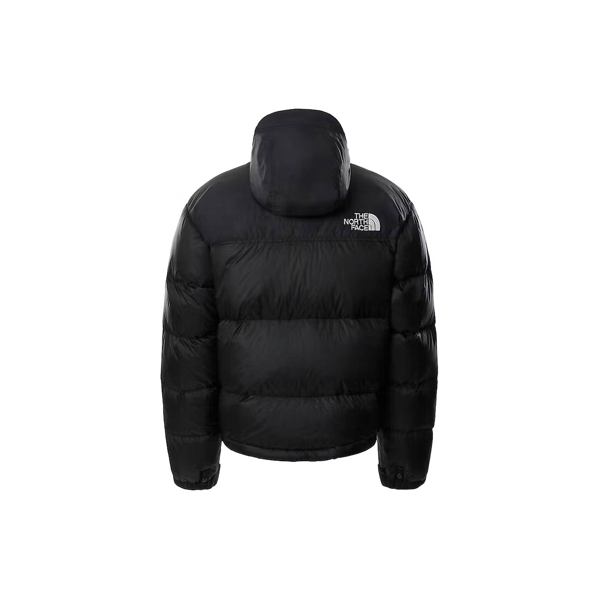 North face store 750 fill